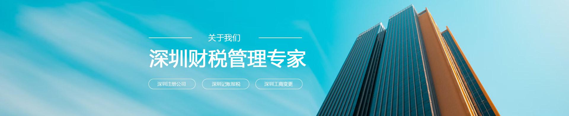 深圳财务代理记账报税注册公司机构